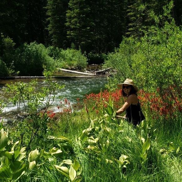 Meet your Posher, Alison - Picture 1 of 1